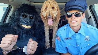 Police SAVES Puppy From Car Ride Chase