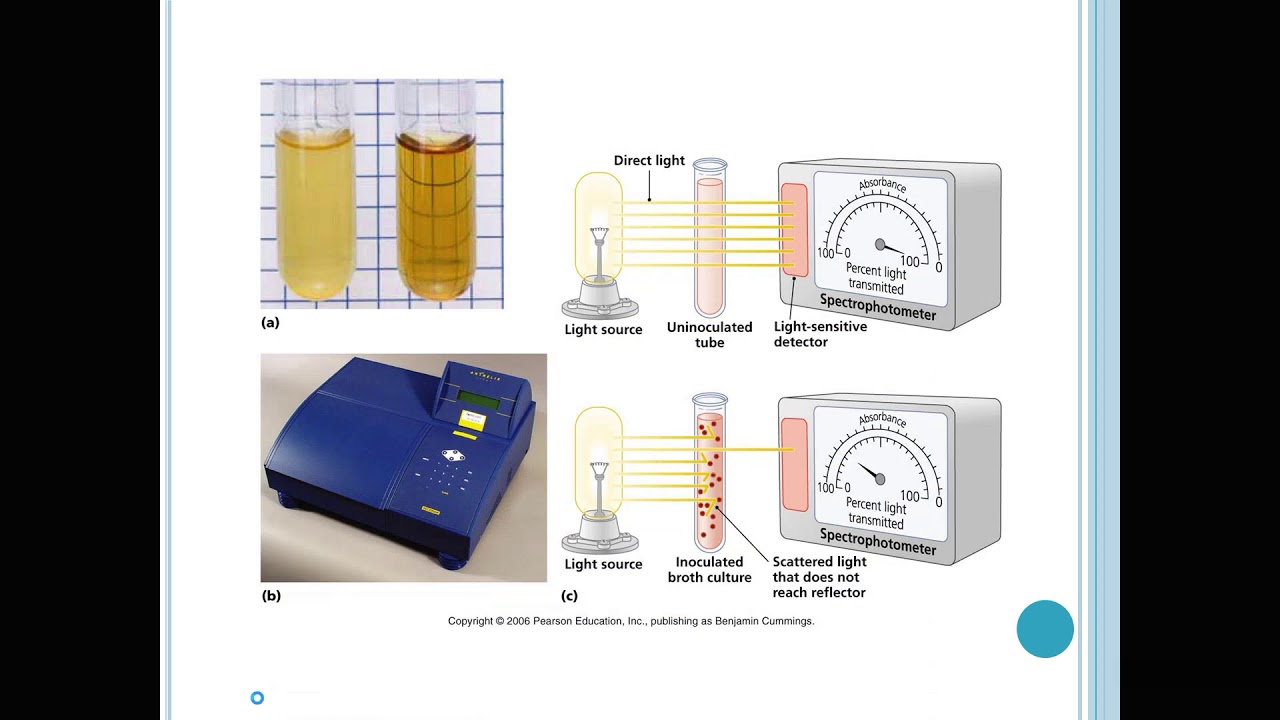 TURBIDIMETRIA E NEFELOMETRIA