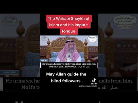 The Wahabi Shaykh ul Islam - Deviant!