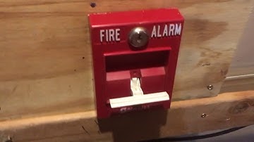 Basement Fire Alarm Test 1