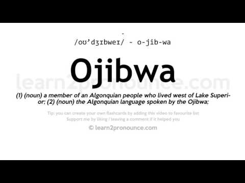 ቪዲዮ: የኦጂብዋ ቤቶች ምን ይመስሉ ነበር?