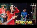 🎶 Gratis! Laila Ayu KDI Live di Janti RW 04 Waru | Simpatik Music