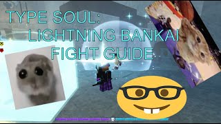 EDUCATIONAL LIGHTNING BANKAI FIGHT GUIDE [TYPE SOUL]