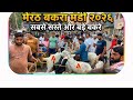 Meerut Tuesday Bakra Mandi 19.5.2026 #azharvlogs #goat #goatfarming #bakramandi #meerut #viralvideo
