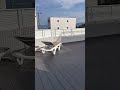 ペットと泊まれるおすすめ宿