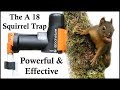 The A18 Squirrel Destroyer - A Powerful & Effective CO2 Squirrel Trap - Mousetrap Monday