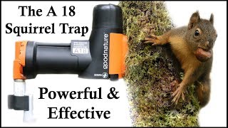 Shawn Woods Review: A Rat & Squirrel Killing Machine. The CO2 Gas Powered  A24 Trap In Action. 