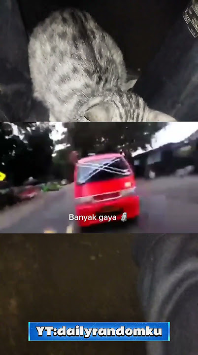 waduh 🗿#foryou #meme #memes #memesdaily #viral #videolucu #lucu #kocak #funny #prank #shorts #fail