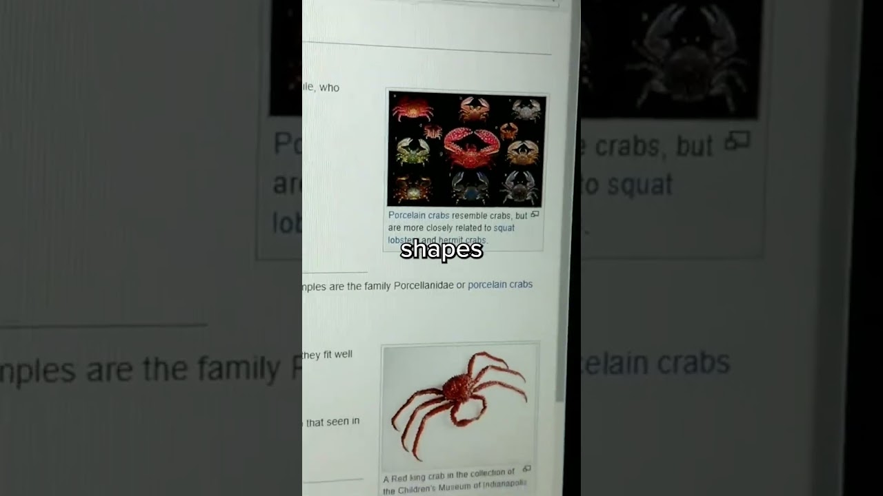 We're all going to evolve into crabs