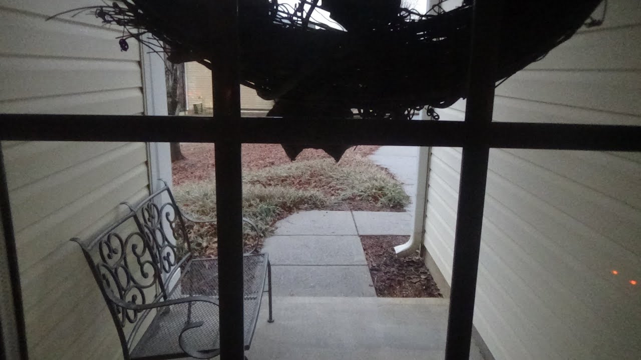 Winter Weather Diary # 4 1/25/26