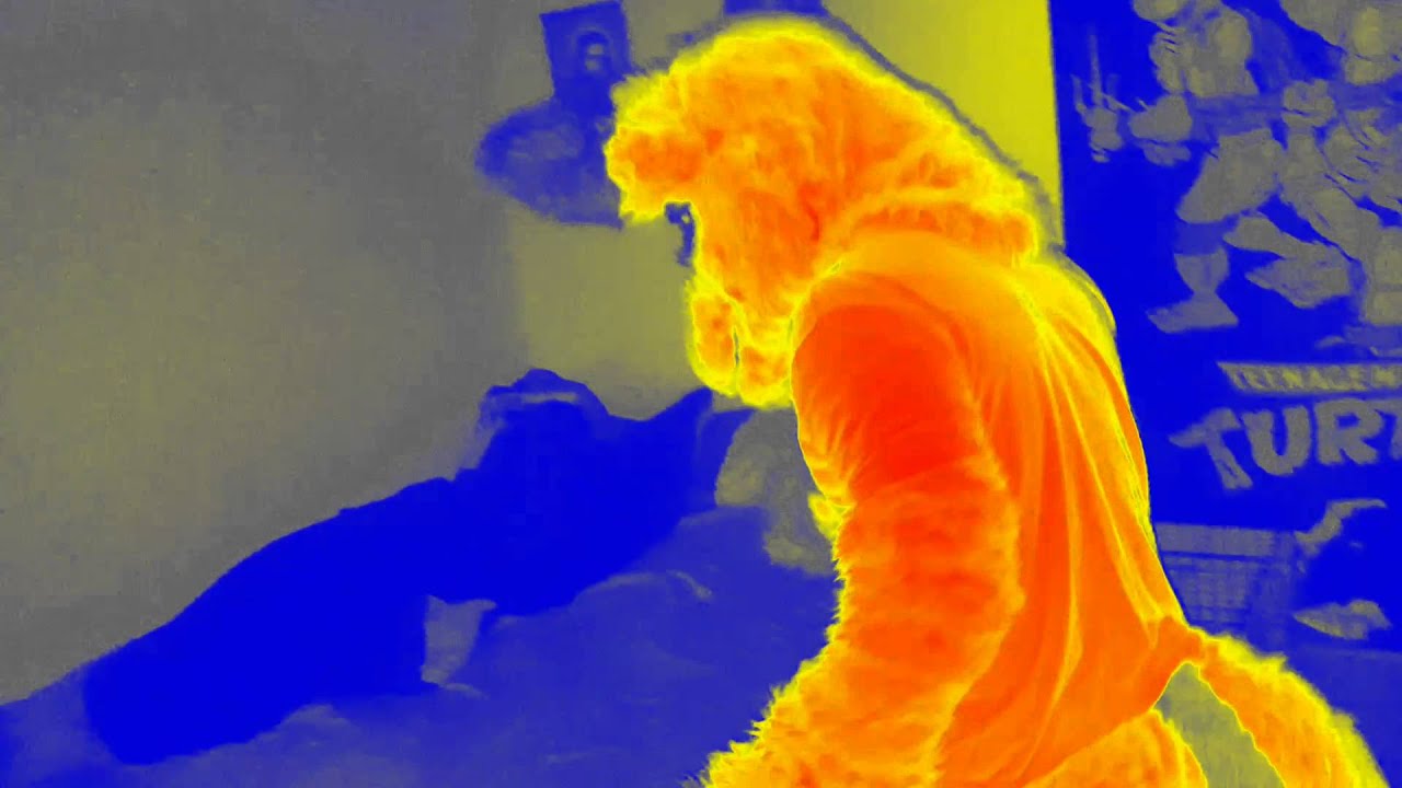 How to wake up your roommate YouTube