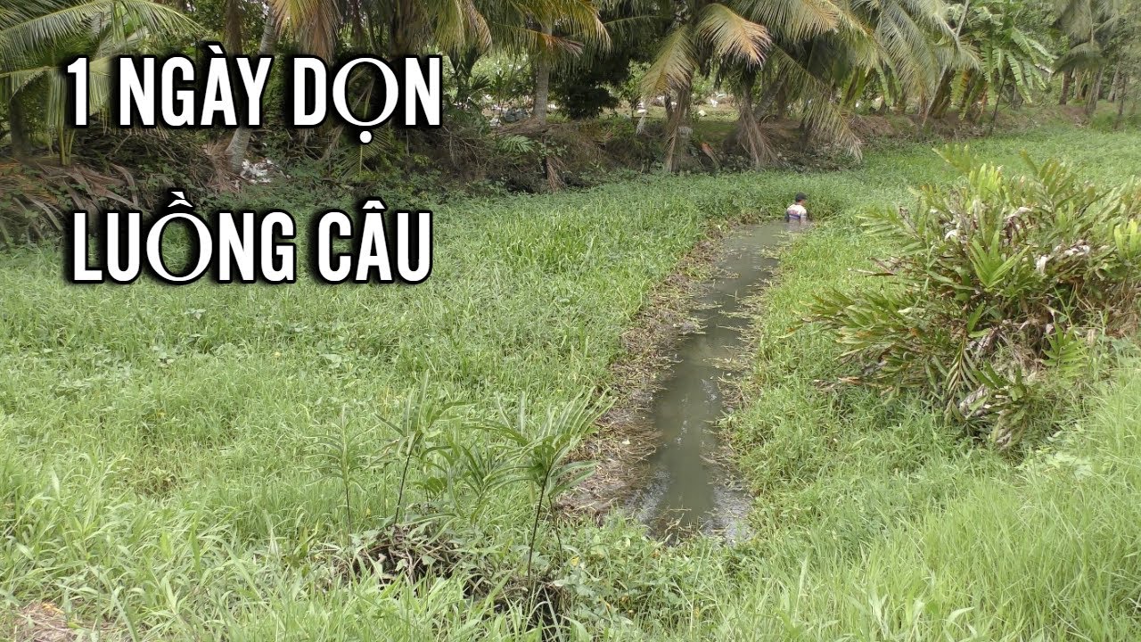 Bắt chước Nguyễn Chanh dọn luồng câu, ai ngờ hôm sau quay lại người ta câu trước rồi