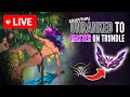 29-4 START | EDUCATIONAL UNRANKED - MASTERS TRUNDLE JUNGLE 🤯➡️ RANK 1 TRUNDLE UNIVERSE ➡️