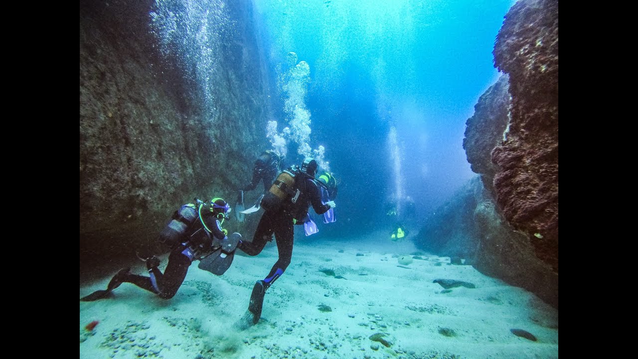 Mergulho nas Berlengas 2021