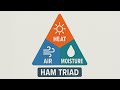 An Introduction to the HAM Triad