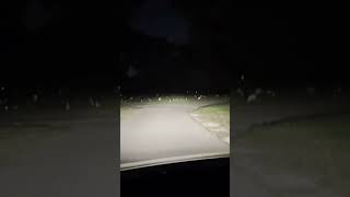 Scary Graveyard At Night