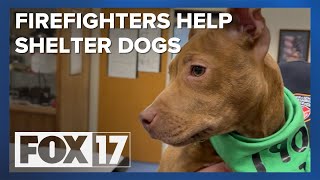 Shelter dogs join Muskegon Twp. firefighters to help spur adoptions