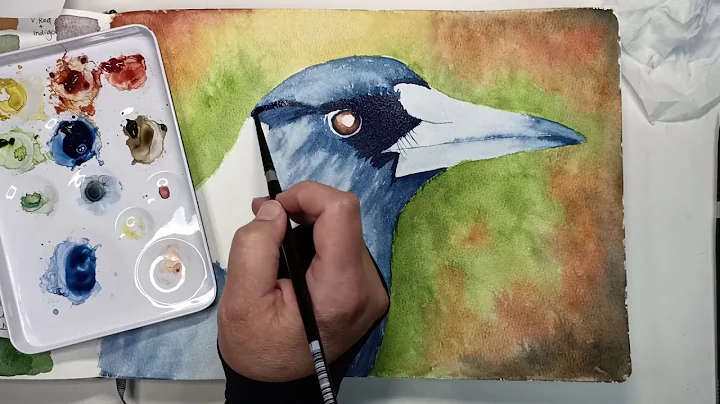 Qor Modern Watercolor Earth Colors 6 Tube Set Part 2: PAINTING A MAGPIE