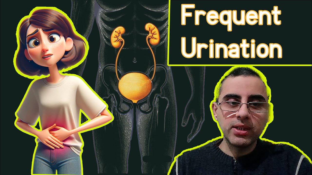 Understanding Frequent Urination Top 5 Causes and Symptoms Explained YouTube