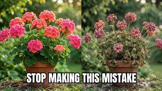 Don't kill your favorite flowers!! 10 mistakes that kill flowers