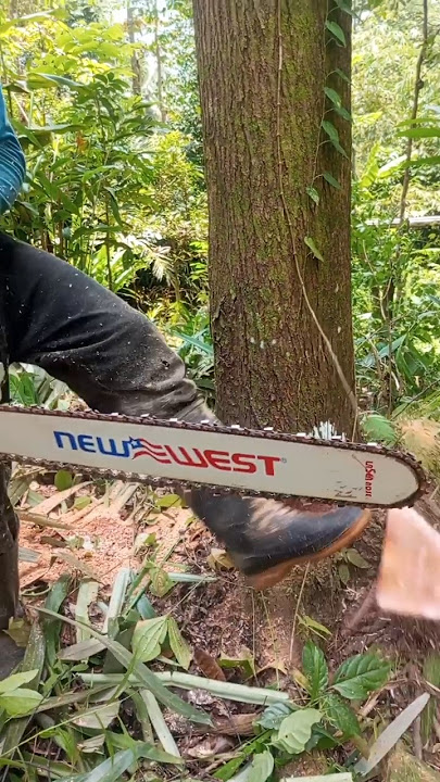 nyesel kalao gak nonton‼️ #woodworking #bengkelkayu #wood #automobile #chainsaw
