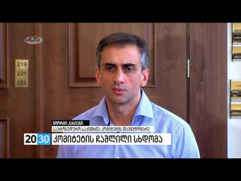 კომიტეტის ჩაშლილი სხდომა /2030 (19.08.2016.)/