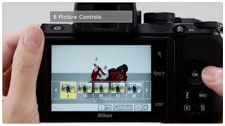 Z 50 Digitutor - #3: Picture Controls