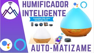 Sengled Difusor inteligente de aceite esencial WiFi, difusor ultrasónico de  aromaterapia de 5.1 fl oz con aplicación Alexa y Google Home y control de