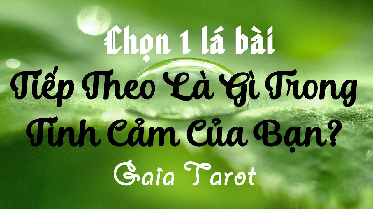 Chọn 1 Lá Bài - Tiếp Theo Là Gì Trong Tình Cảm Của Bạn? - Gaia Tarot