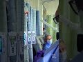 Medical oncologist champions emerging therapies for rare neuroendocrine tumors