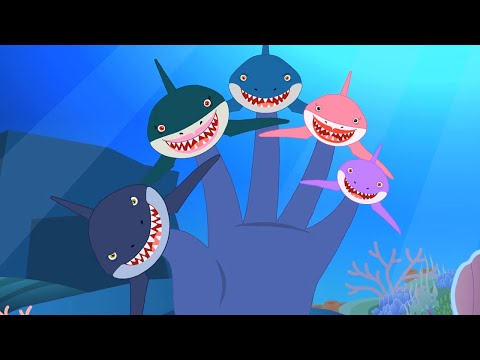 Tiburones Dedo de la Familia Cantar Junto a La Cancion en Español