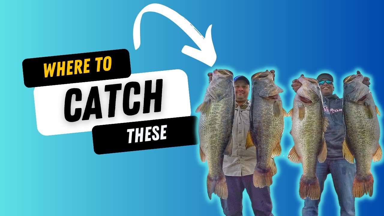 Top 25 Best Bass Fishing Lakes in the West - California, Arizona ...