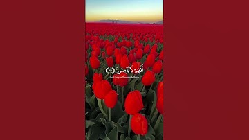#اكسبلور #المراره #سورة #حالات_واتس #ايه #راحة_نفسية #المراه #لايك #التغطيه #البخل