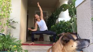 Leg sequence
