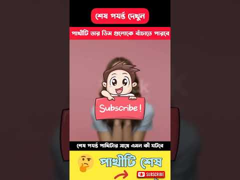 পাখিটার সাথে শেষ পযর্ন্ত কী হলো(Part 2)😱#shorts #vairalshorts #ytshorts