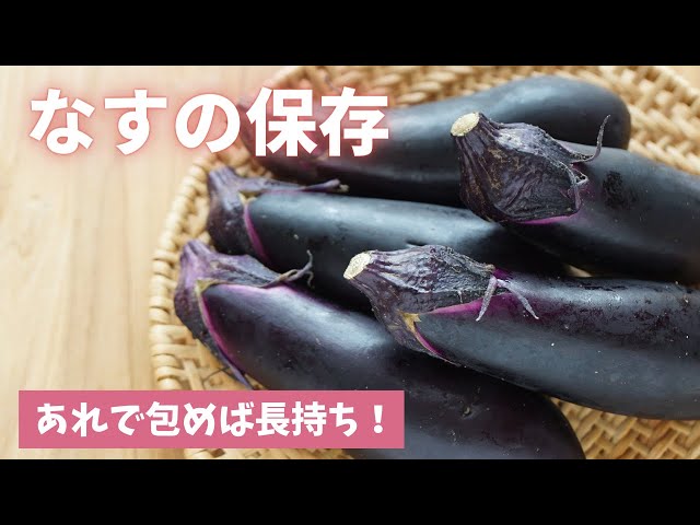 Storing Eggplants] Here are some tips to keep them fresh and