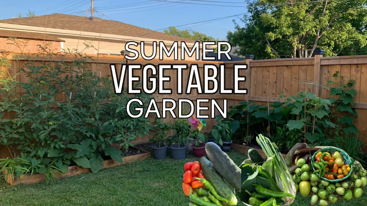 VEGETABLE GARDEN ABUNDANT HARVEST LIFE IN WINNIPEG YouTube
