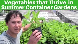 Vegetables that Thrive in Container Gardens During the Summer Growing Season