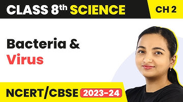 Chapter 2 Class 8 Science | Groups of Microbes: Bacteria & Virus - Microorganisms: Friend and Foe