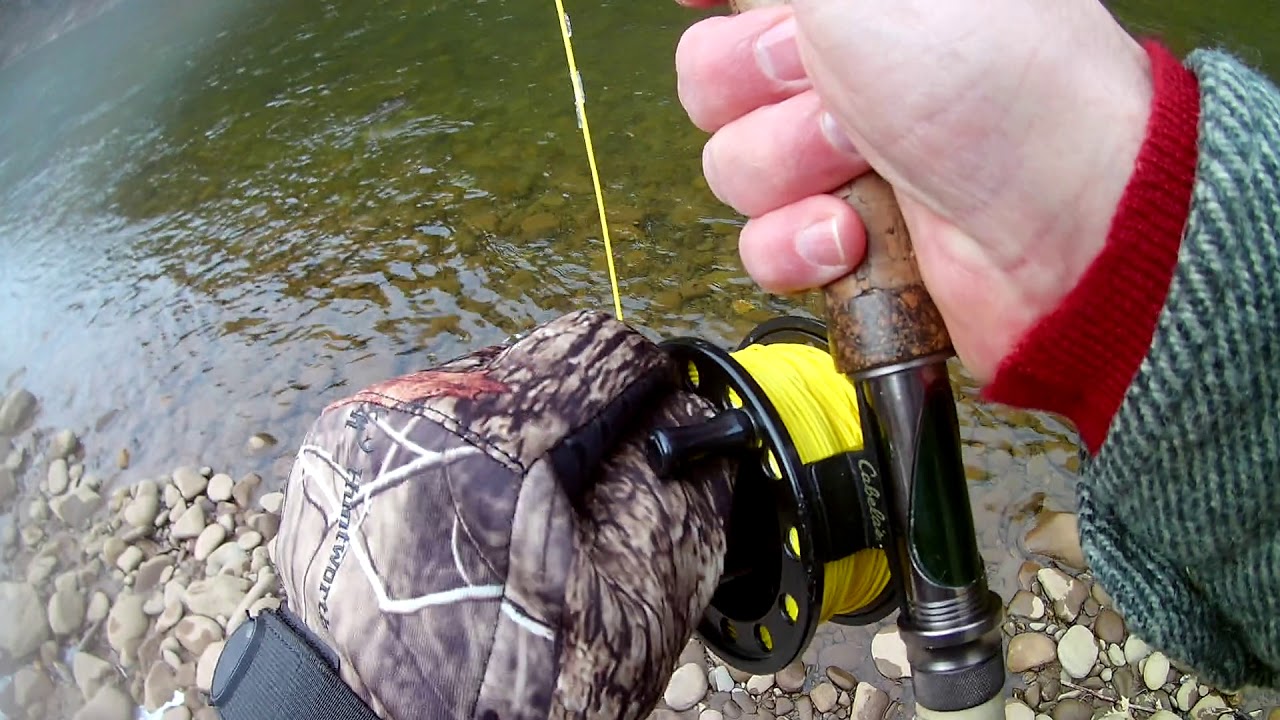 Landing A Trout Winter Fly Fishing North Central PA YouTube landing-a-trout-winter-fly-fishing-north-central-pa-youtube