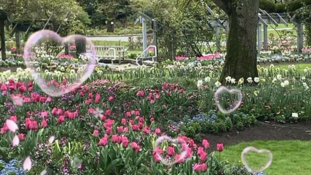 Bị thách cưới 35 triệu đồng, mẹ chồng 10 năm mỉa mai, cạnh khóe con dâu