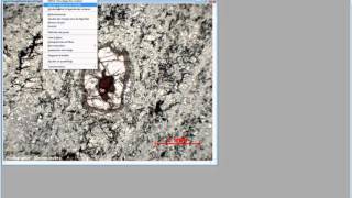 Mesurim Surface