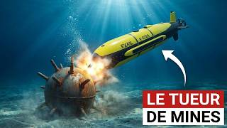 Ce Drone Français 'Inconnu' Qui Va Déminer le Détroit d'Ormuz Sans Mettre un Seul Soldat en Danger