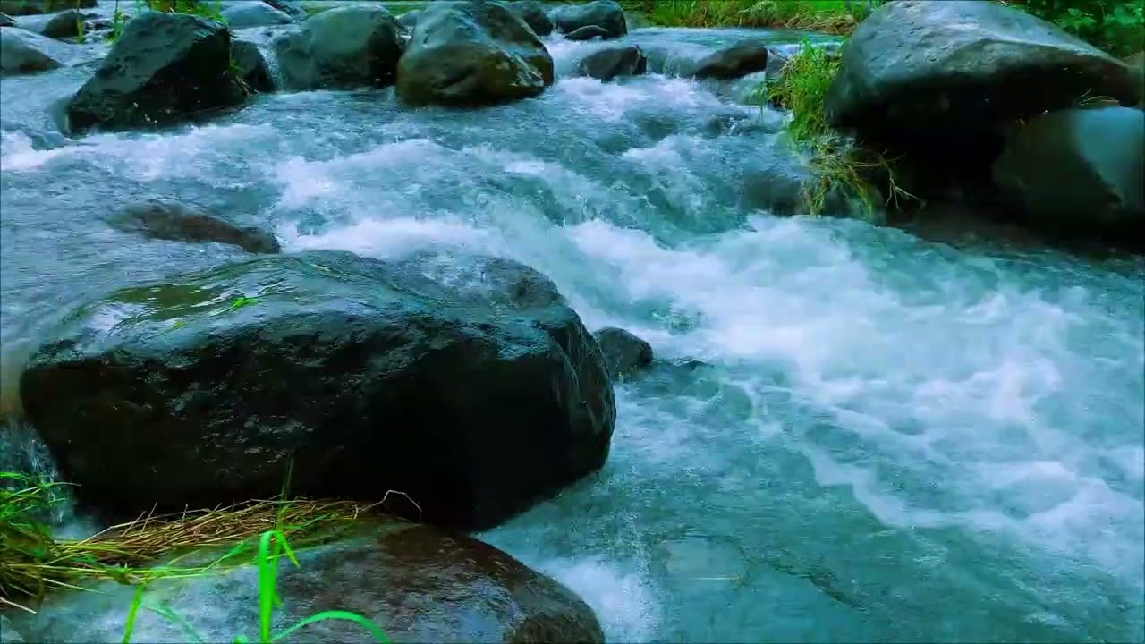 Nature River Sounds Relaxing Music Relaxing Voices For Sleep Asmr Relaxing Wave Sounds For Sleep