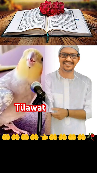 Alam Tara Kaifa Fala Rabbuka Aaye Quran Sikhe #viral #shorts