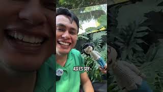 Por Fin Conoci A Icma