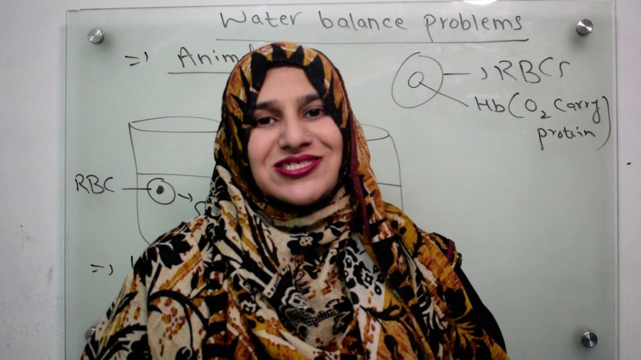 Class 9||Chp#4||Water balance problems.
