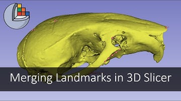Merging Landmarks in 3D Slicer