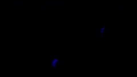 SARG Antigravity Exp 1