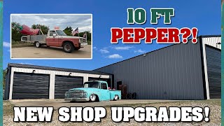 NEW SHOP UPDATES. Paint, Insulation, and MORE! I bought a 10ft pepper.